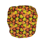 Autumn Splendor
